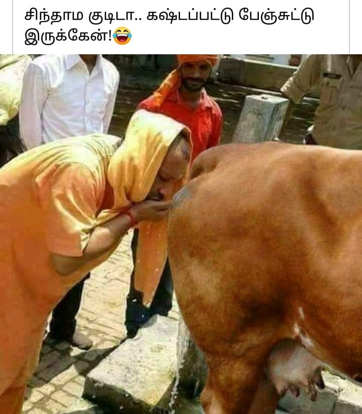 பசுவின் சிறுநீரைக் குடிக்கும் யோகி ஆதித்யநாத் என்று வைரலாகும் போட்டோ 