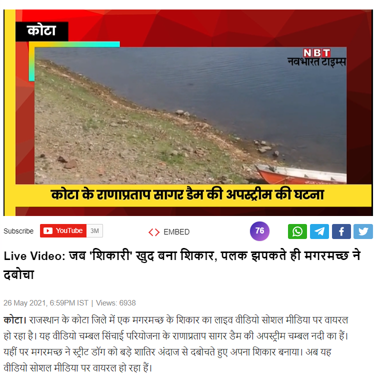 Factcheck :- crocodile attacking a stray dog video viral