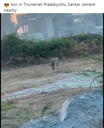 திருநெல்வேலி