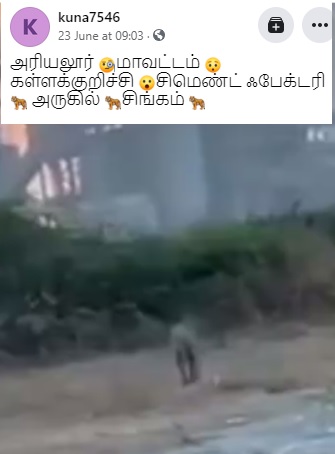 திருநெல்வேலி