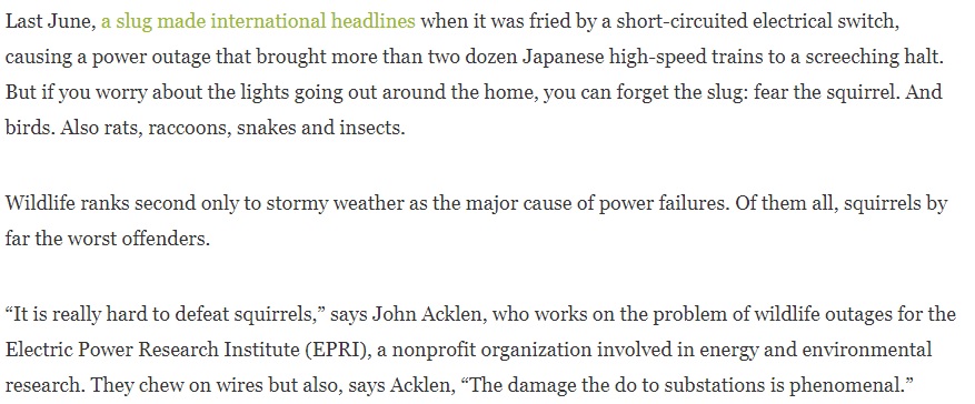 தமிழகத்தில்