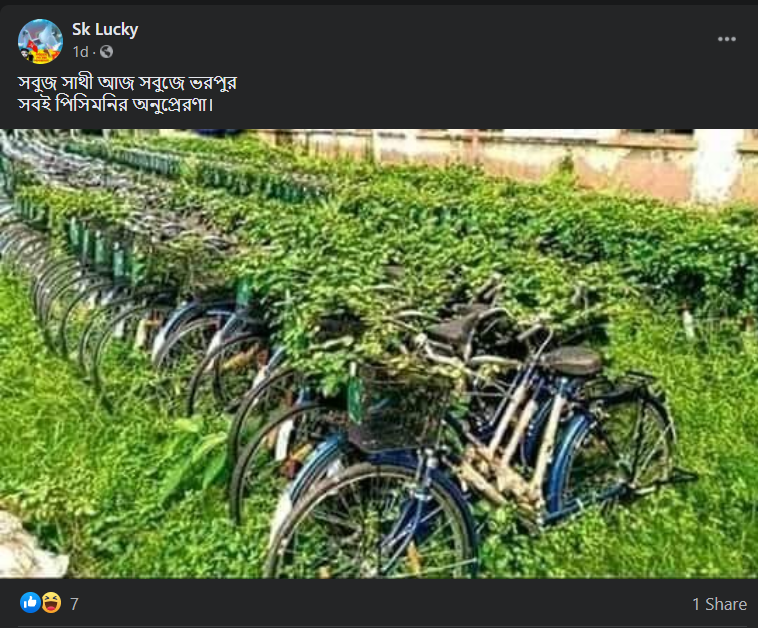 সবুজ সাথী সাইকেলে image 2