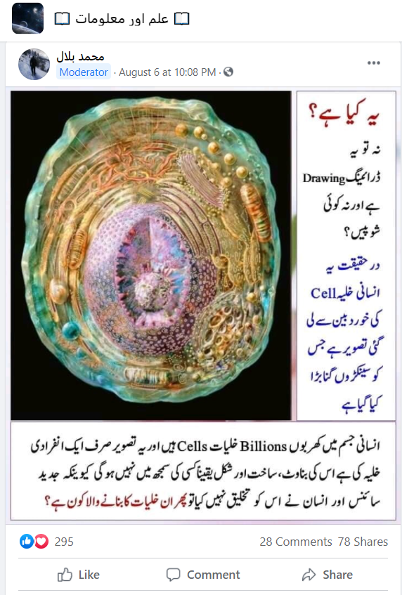 ہیومن سیل کے نام سے وائرل تصویر کا اسکرین شارٹ