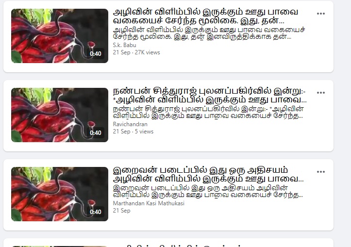 அழிவின்