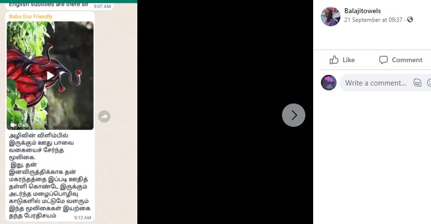 அழிவின்