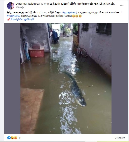 தமிழகத்தில் மழைநீரில் முதலை வந்ததாக பரவும் தகவல் - 1