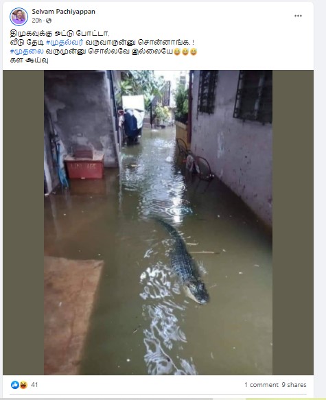 தமிழகத்தில் மழைநீரில் முதலை வந்ததாக பரவும் தகவல் - 2