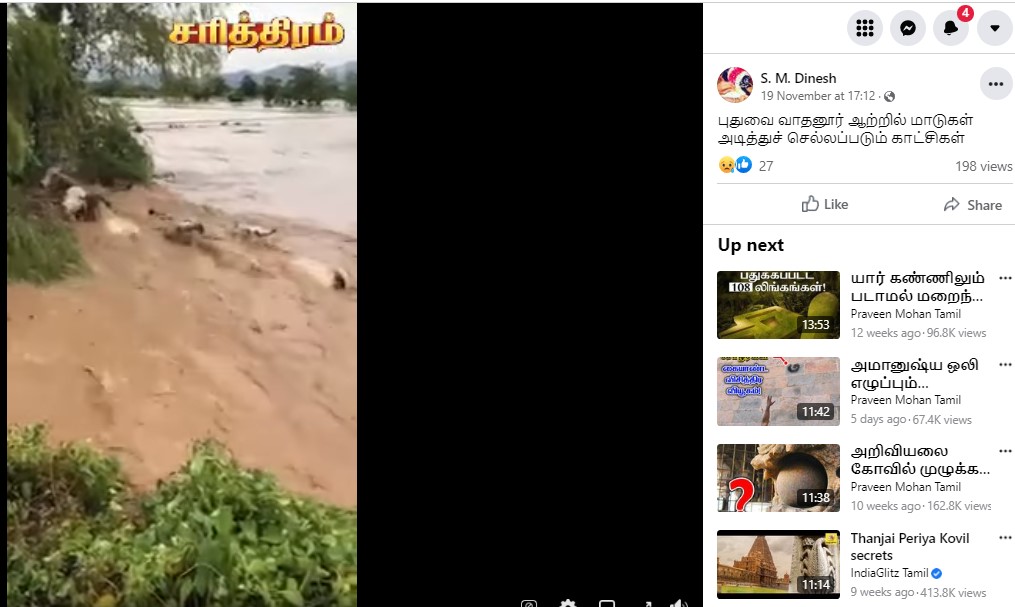 வெள்ளம் காரணமாக மாடுகள் ஆற்றில் அடித்துச் செல்லும் வீடியோ - 2