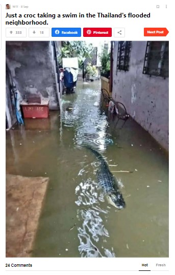 தமிழகத்தில் மழைநீரில் முதலை வந்ததாக பரவும் தகவலின் உண்மைத்தன்மை