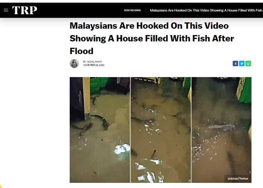 தமிழகத்தில் பொழிந்து வரும் தொடர்மழை காரணமாக வீட்டிற்குள் மீன் வந்ததாக பரவும் வீடியோ - 3