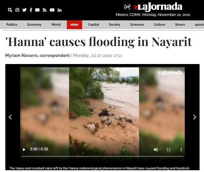 வெள்ளம் காரணமாக மாடுகள் ஆற்றில் அடித்துச் செல்லும் வீடியோவின் உண்மைத்தன்மை