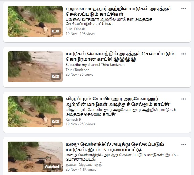 வெள்ளம் காரணமாக மாடுகள் ஆற்றில் அடித்துச் செல்லும் வீடியோ