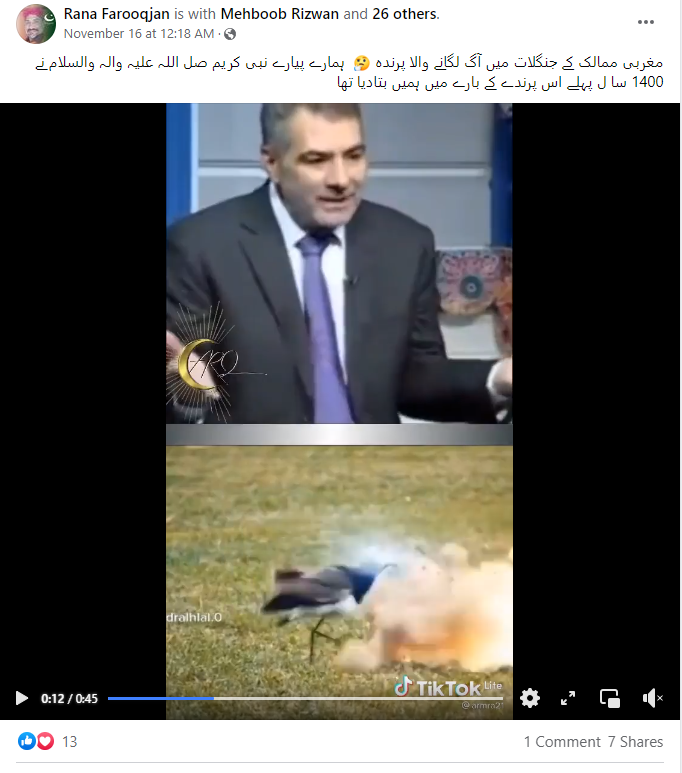 منہ سے آگ اگلنے والے پرندے کا وائرل ویڈیوکا اسکرین شارٹ