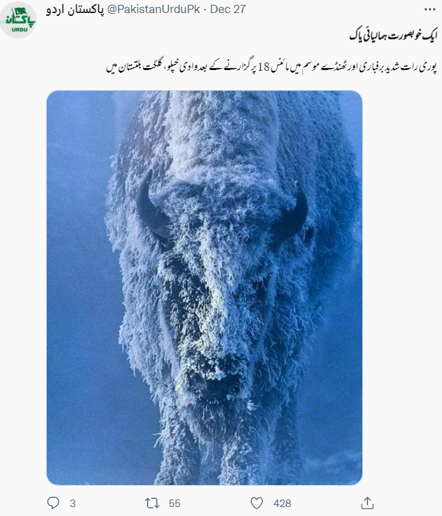 یہ گلگت بلتستان میں نظر آیا ہمالیائی یاک کی تصویر نہیں ہے۔