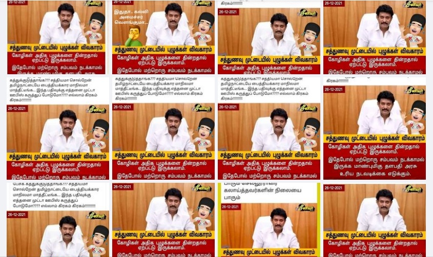 கோழிகள்