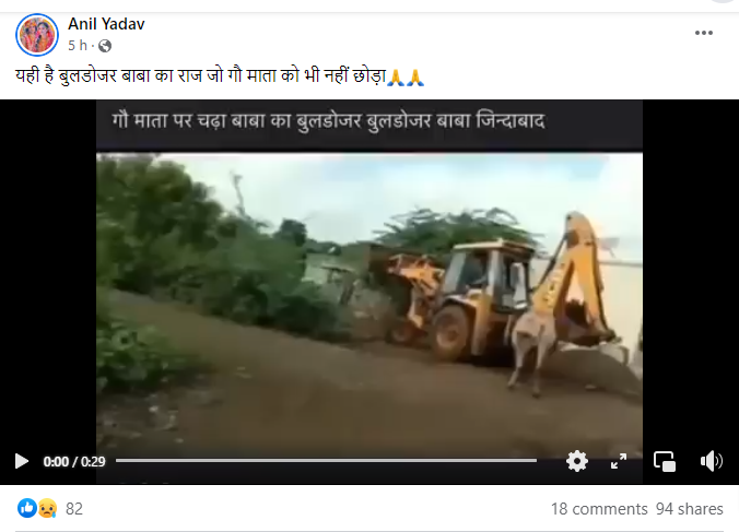 बुलडोजर से गौवंश की हत्या