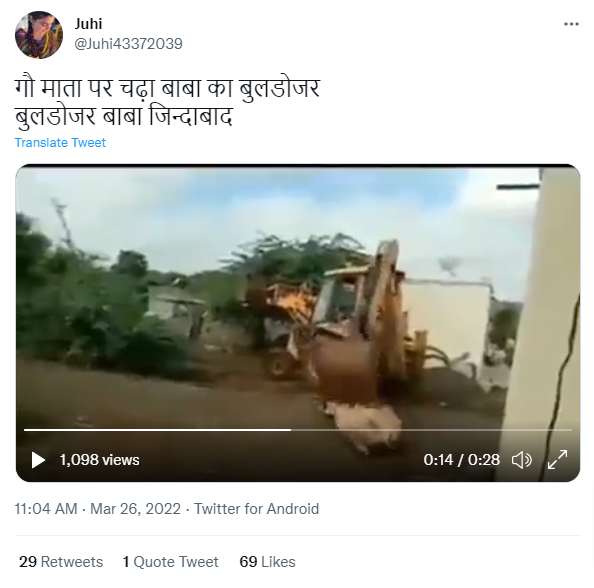 बुलडोजर से गौवंश की हत्या