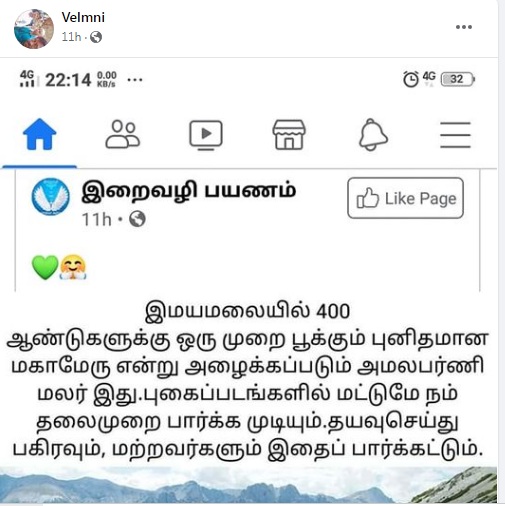 இமயமலையில்