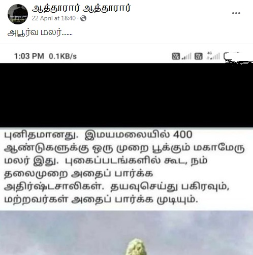 இமயமலையில்