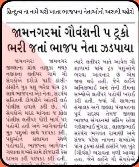 જામનગરમાં ગૌવંશ