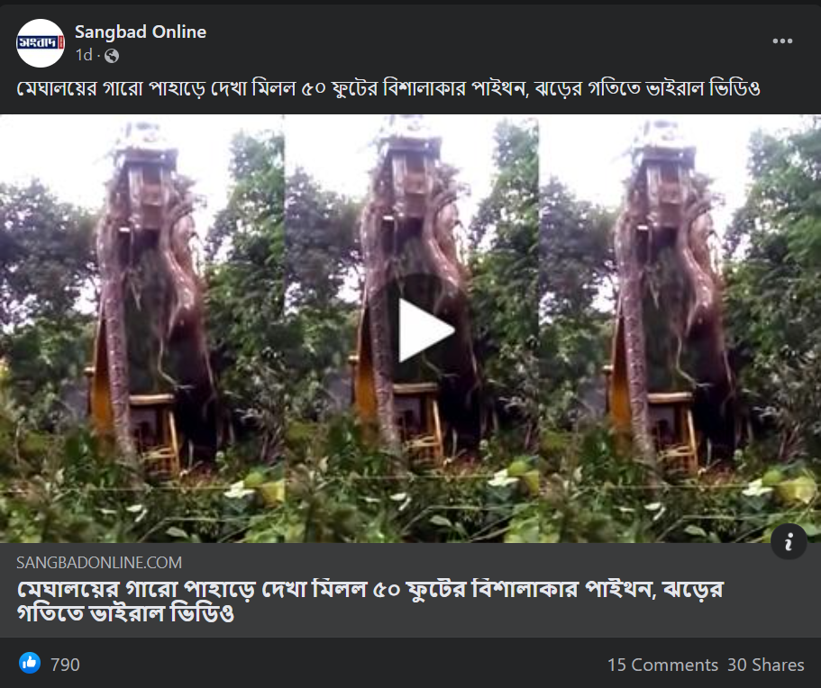 মেঘালয়ের গারো পাহাড়ে পাইথন image 1