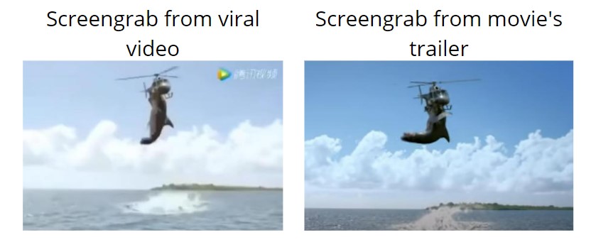 Shark Bringing Down A Helicopter video