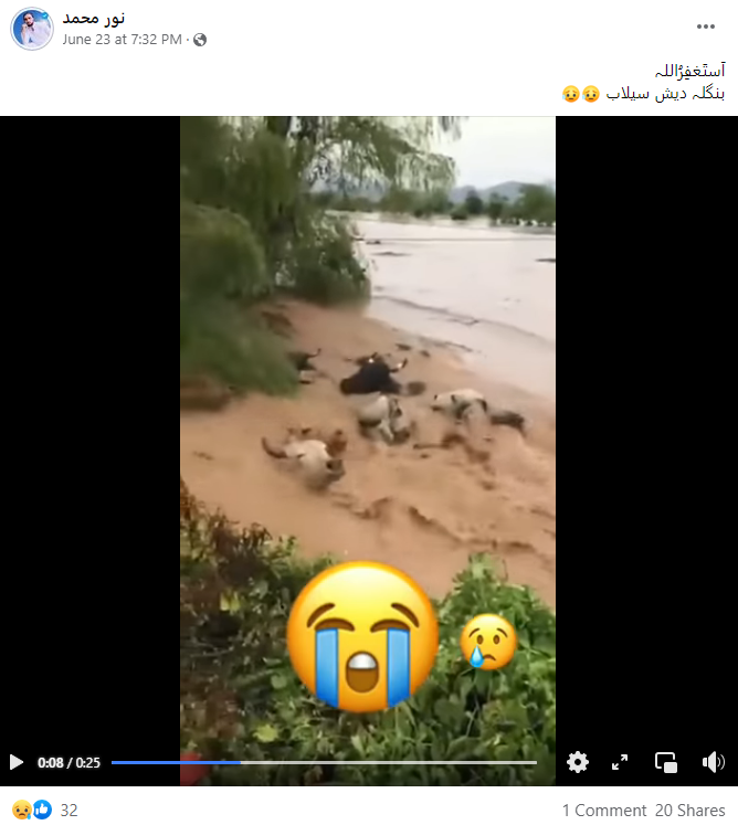 پانی میں بہتے ہوئے جانوروں کی یہ ویڈیو بنگلہ دیش کی ہے