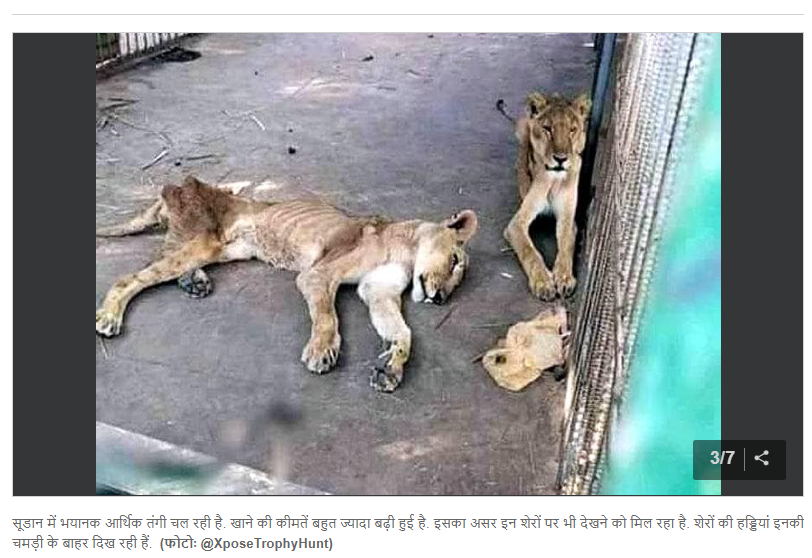 ਬਠਿੰਡਾ ਦੇ ਬੀੜ ਤਾਲਾਬ ਚਿੜੀਆਘਰ ਦੀਆਂ ਹਨ ਇਹ ਵਾਇਰਲ ਤਸਵੀਰਾਂ