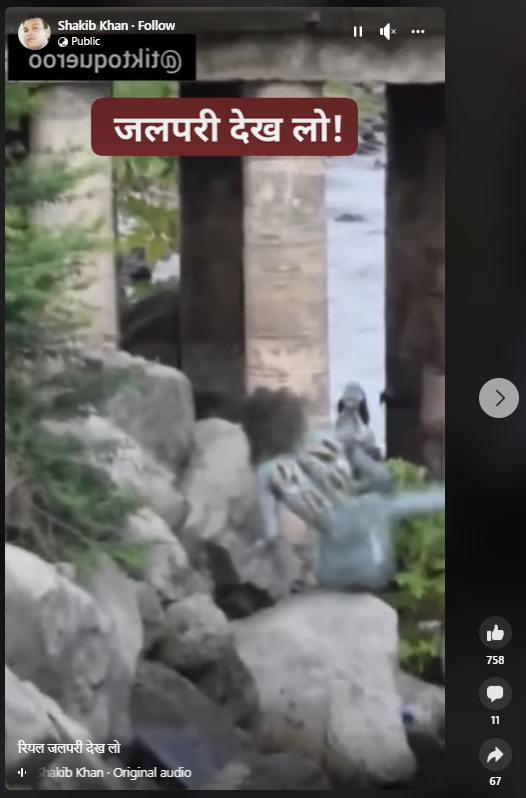 सोशल मीडिया पर एक वीडियो शेयर कर यह दावा किया गया कि इसमें एक असली जलपरी को देखा जा सकता है.