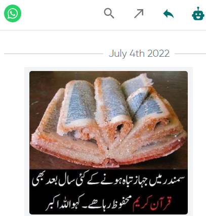 یہ تصویر قرآنی نسخے کی نہیں ہے بلکہ ایک ڈکشنری کی ہے