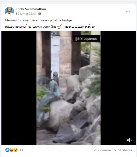 காவிரி ஆற்றங்கரையில் கடற்கன்னி காணப்பட்டதாக பரவும் தகவல் - 01