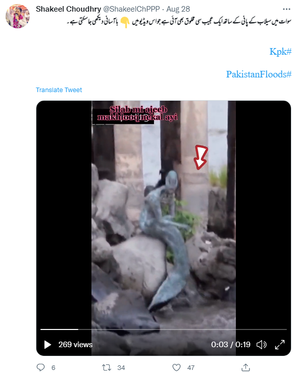 پاکستان کے سوات میں سیلاب کے دوران نظر آئی جل پری