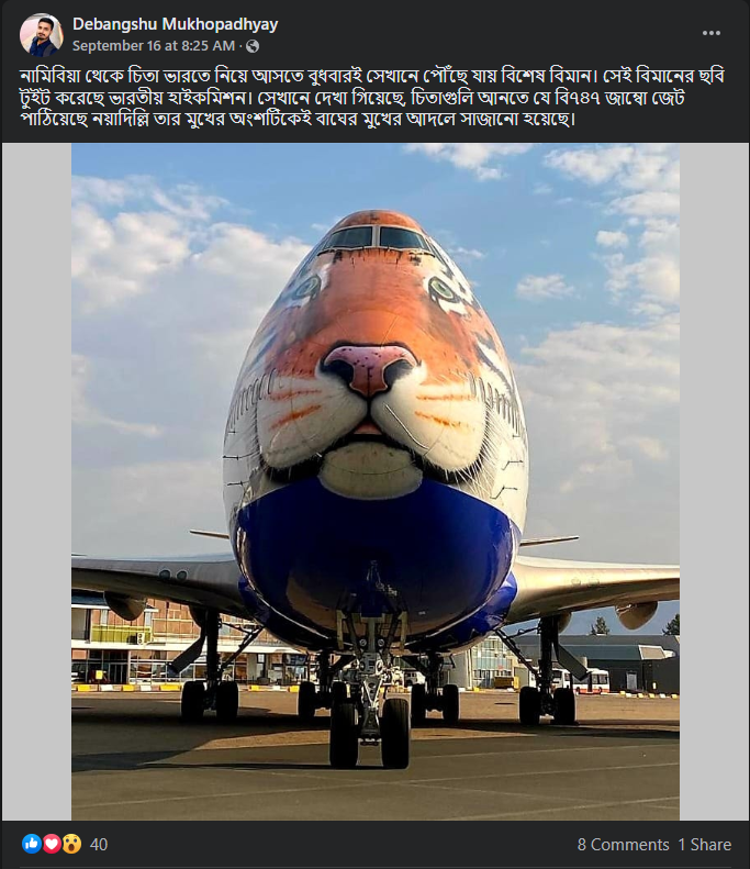 নামিবিয়া থেকে আটটি চিতা আনার জন্য বিশেষ বিমান পাঠালো নয়াদিল্লী image 1