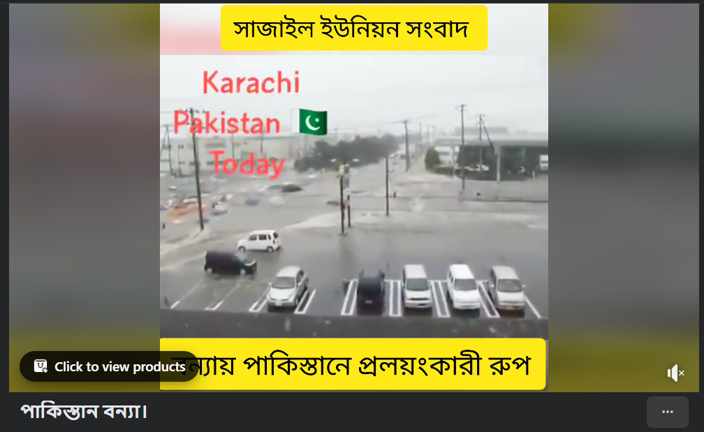 পাকিস্তান বন্যার অবস্থা খুব ভয়াবহ লক্ষ লক্ষ বাড়ি ঘর ধংস। অনেক লোক মারা গেছে ইমেজ ১