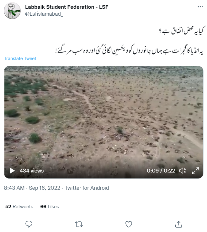 بھارت کے گجرات میں ویکسین لگانے سے جانوروں کی نہیں ہوئی موت۔