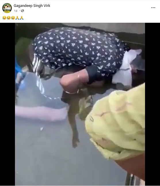 ਨਸ਼ੇ ਨਾਲ ਹੋਈ ਨੌਜਵਾਨ ਦੀ ਮੌਤ ਦਾ ਪੁਰਾਣਾ ਵੀਡੀਓ ਮੁੜ ਹੋਇਆ ਵਾਇਰਲ