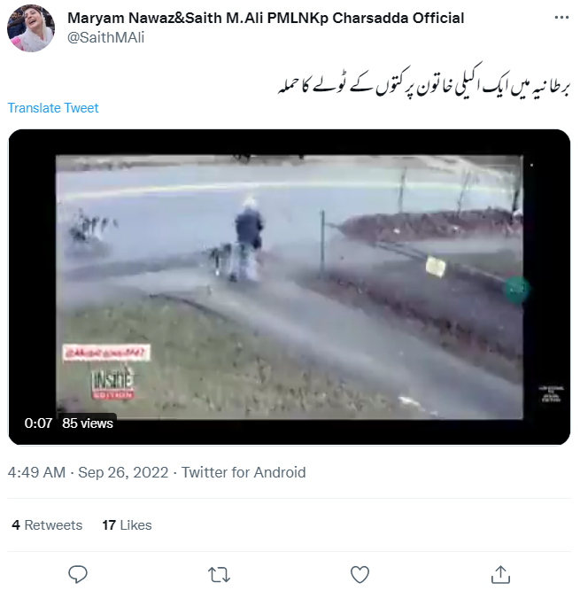 خاتون پر کتوں کے جھنڈ کے حملے کی یہ ویڈیو انگلیڈ کی نہیں ہے