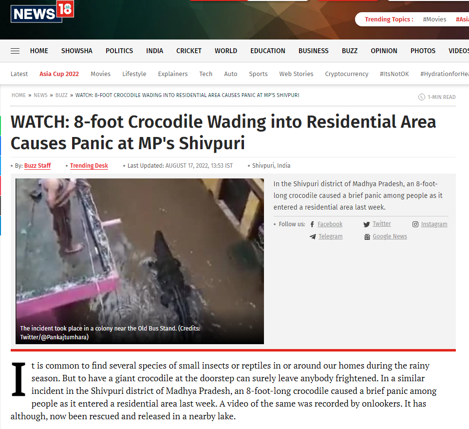 رہائشی علاقے میں مگرمچھ