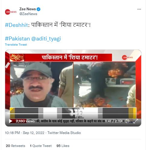 शिया टमाटर