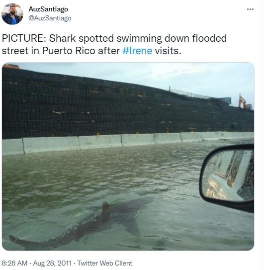 Viral photo of shark swimming in flooded Florida street is an old, photoshopped picture that has been doing the rounds of social media since 2011. The original picture was taken in 2003.