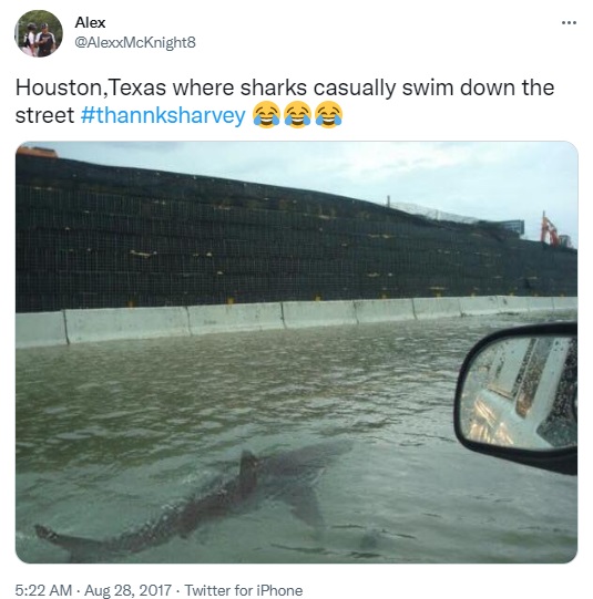 Viral photo of shark swimming in flooded Florida street is an old, photoshopped picture that has been doing the rounds of social media since 2011. The original picture was taken in 2003.