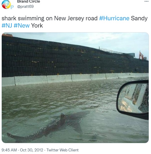 Viral photo of shark swimming in flooded Florida street is an old, photoshopped picture that has been doing the rounds of social media since 2011. The original picture was taken in 2003.