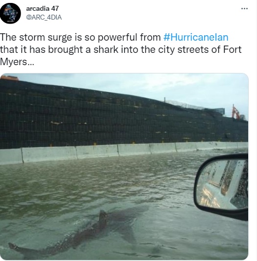 Viral photo of shark swimming in flooded Florida street is an old, photoshopped picture that has been doing the rounds of social media since 2011. The original picture was taken in 2003.