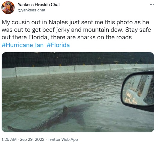 Viral photo of shark swimming in flooded Florida street is an old, photoshopped picture that has been doing the rounds of social media since 2011. The original picture was taken in 2003.
