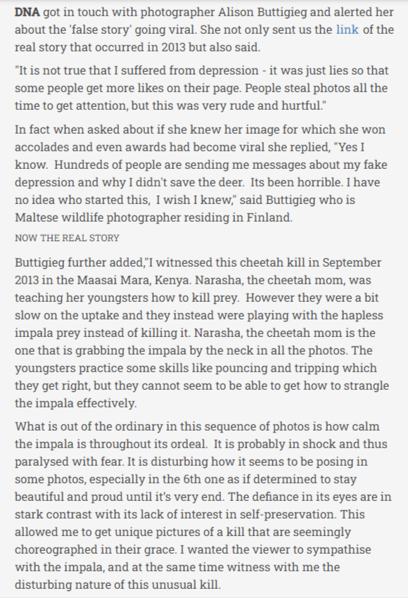 विदेश से चीते बुलाकर देसी हिरणों को मारा जा रहा है.