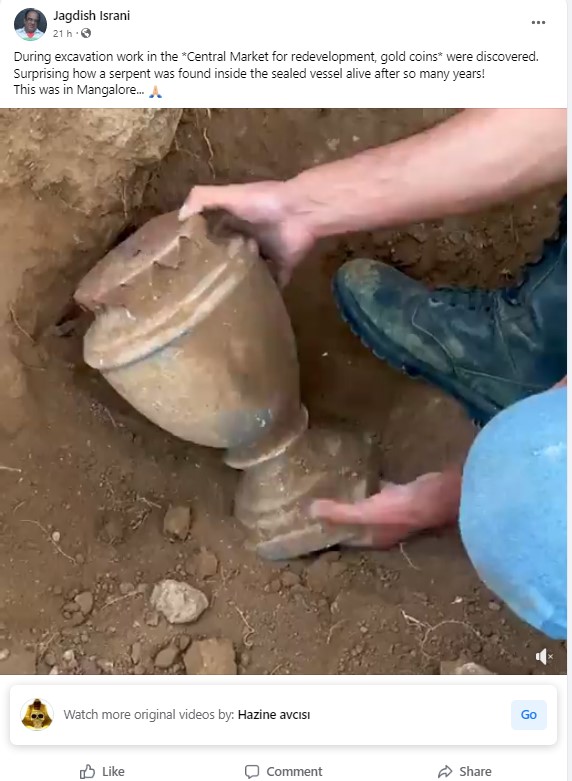 Gold Coins Unearthed 