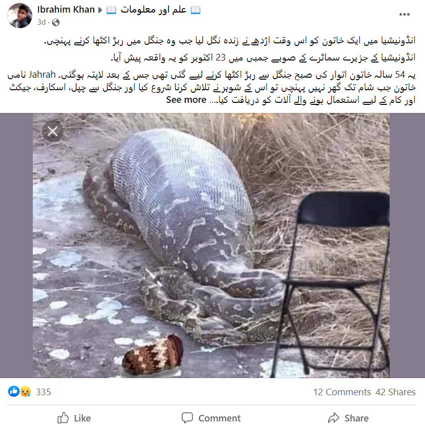 وائرل تصویر انڈونیشیا میں زندہ خاتون نگلنے والے اژدہے کی نہیں ہے