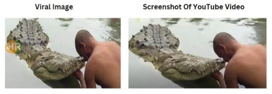 ਦਾਅਵਾ ਕੀਤਾ ਜਾ ਰਿਹਾ ਹੈ ਕਿ ਇਹ ਤਸਵੀਰ ਬਾਬੀਆ ਮਗਰਮੱਛ ਦੀ ਹੈ ਜਿਸਦੀ ਕੇਰਲ 'ਚ ਹਾਲ ਹੀ ਵਿਚ ਮੌਤ