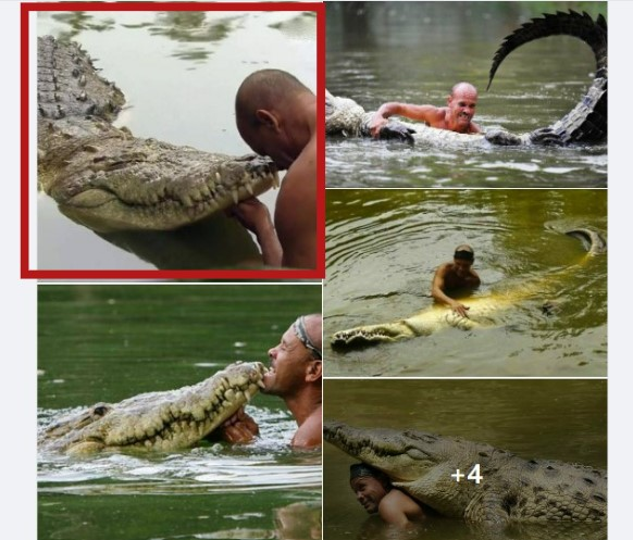 કેરળમાં આવેલા અનંત પદ્મનાભ સ્વામી મંદિરના પ્રખ્યાત મગર 'બાબિયા'ના મૃત્યુની ખબર સાથે ભ્રામક તસ્વીર વાયરલ 