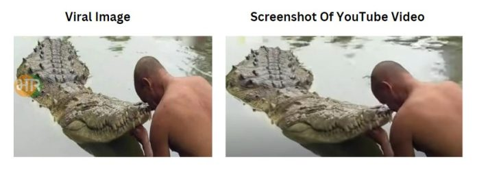 કેરળમાં આવેલા અનંત પદ્મનાભ સ્વામી મંદિરના પ્રખ્યાત મગર 'બાબિયા'ના મૃત્યુની ખબર સાથે ભ્રામક તસ્વીર વાયરલ 